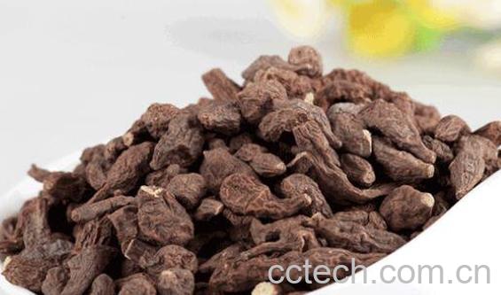 蕨麻不适合什么人吃 吃蕨麻的好处-0