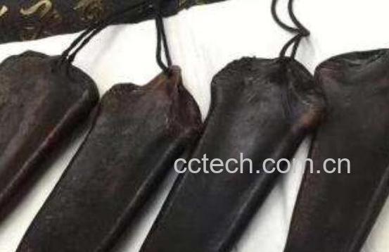 鹿尾巴的功效与作用-1