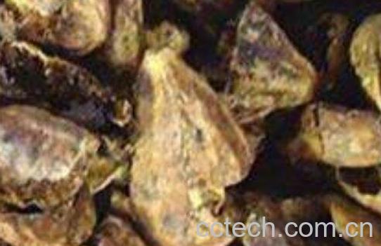 诃子肉的功效与作用-1