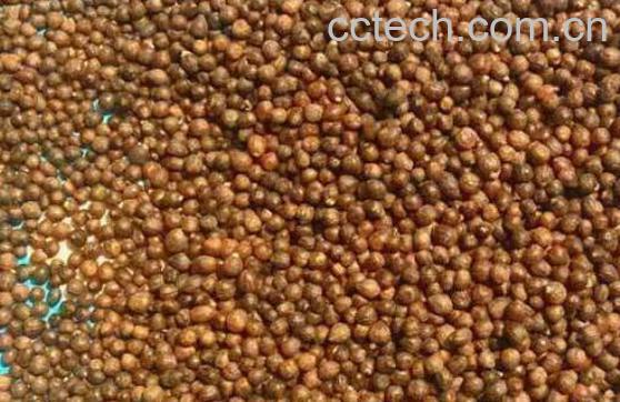 黄荆子的功效与作用及药用价值-0