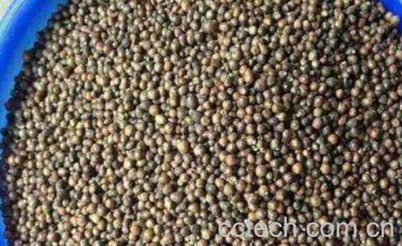 黄荆子的功效与作用及药用价值-1