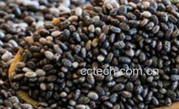 奇亚籽的功效与作用 奇亚籽中国禁售原因-0