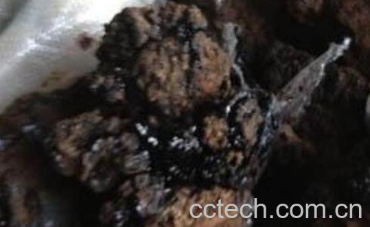 猴结的功效与作用-0