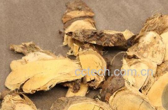 金雀根的功效与作用及常见用法-0