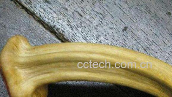 南瓜蒂的功效与作用 南瓜蒂什么人不能用-0