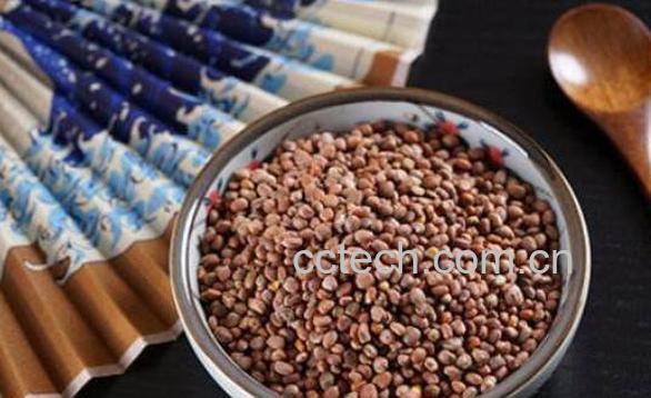 炒莱菔子的功效与作用有哪些-1