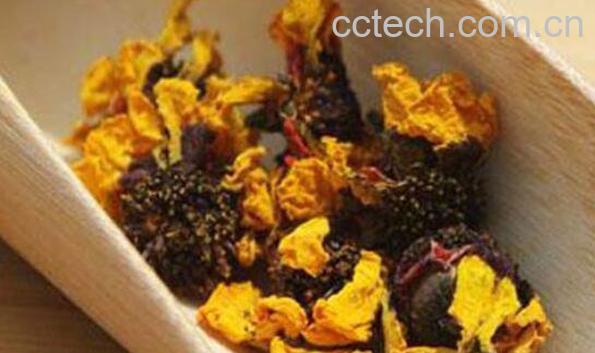 昆仑雪菊的功效与作用有哪些-0