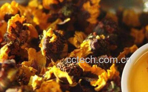 昆仑雪菊的功效与作用有哪些-1