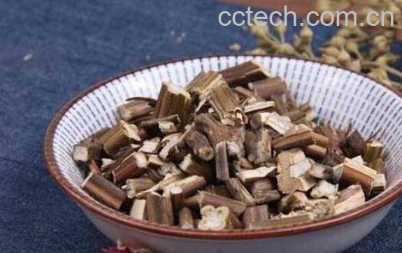 紫苏梗的功效与作用 紫苏梗的药用价值-0