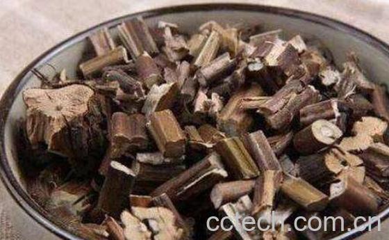 紫苏梗的功效与作用 紫苏梗的药用价值-1