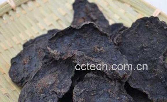 何首乌的功效作用有哪些-1