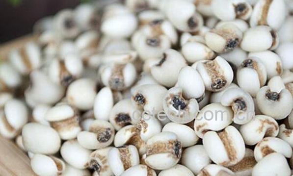 米仁的功效与作用-0