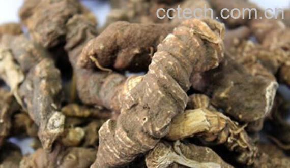 重楼的功效与作用 重楼的副作用-0