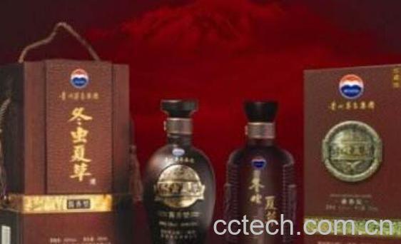 冬虫夏草酒的功效与作用-0