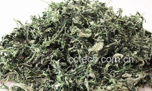 艾叶对男性的功效与作用-0