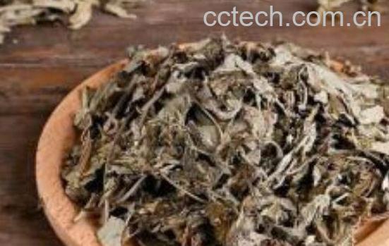 女人用艾叶泡脚的好处-1