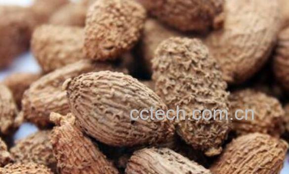 砂仁的功效与作用及常见用法-0