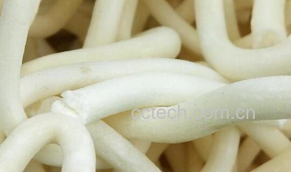 通草的功效与作用及药用价值-0