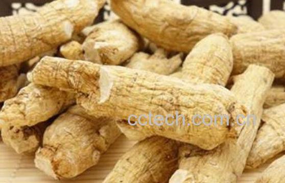 花旗参的功效与作用 花旗参是热性还是凉性-0