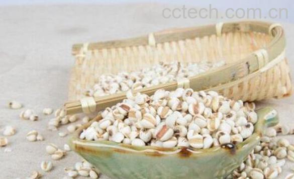  薏米和薏仁有什么区别 吃薏米和薏仁的好处-1