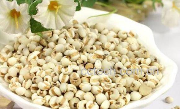 薏米治风湿吗 薏米怎么吃最除湿-0