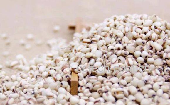 薏米治风湿吗 薏米怎么吃最除湿-1