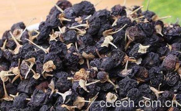 野生黑枸杞的功效与作用 野生黑枸杞怎么吃-1