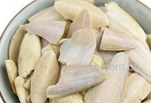 墨鱼骨的功效与作用-1