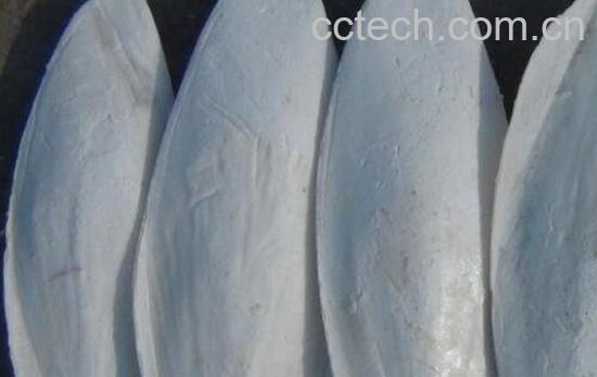 海螺蛸的功效与作用及药用价值-0