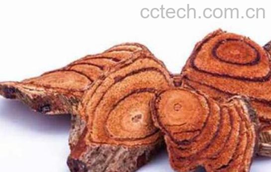 血参的功效与作用及药用价值-0