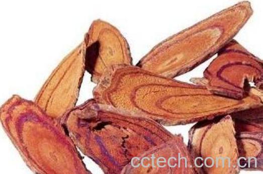 血参的功效与作用及药用价值-1