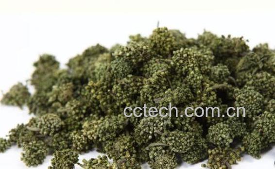 三七花泡水喝的功效-0