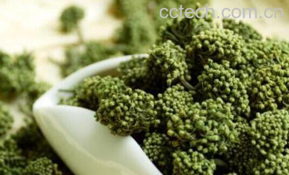 三七花泡水喝的功效-1