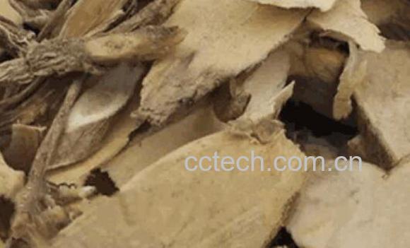  观音串的功效与作用-1