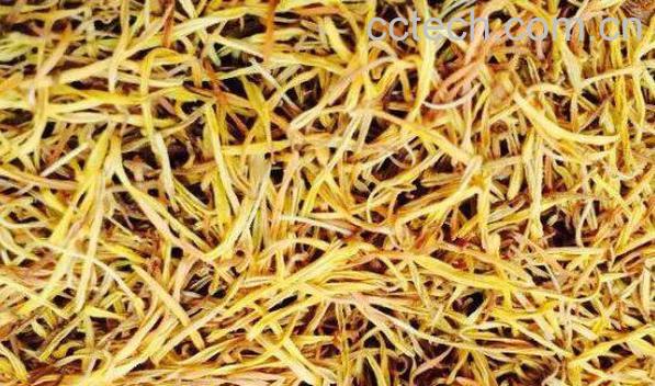 莲须的功效与作用及食用方法-0