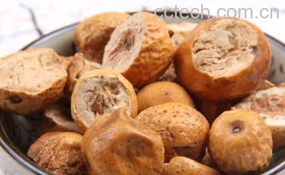 川楝子的功效与作用及药用价值-0