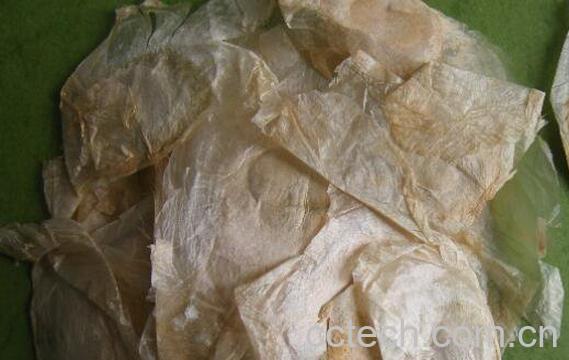 玉蝴蝶的功效与作用及食用方法-1