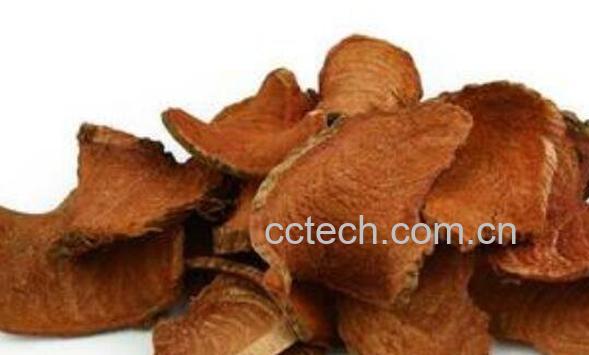 过岗龙的功效与作用及药用价值-0