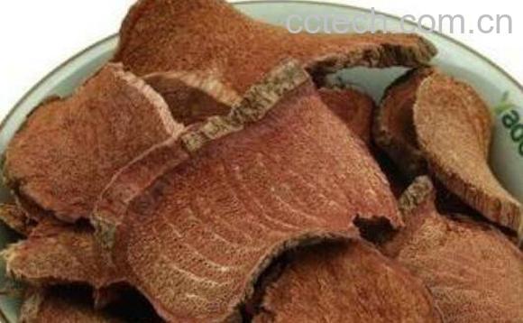 过岗龙的功效与作用及药用价值-1