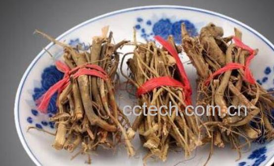 牛奶根的功效与禁忌 牛奶根的食用方法-0