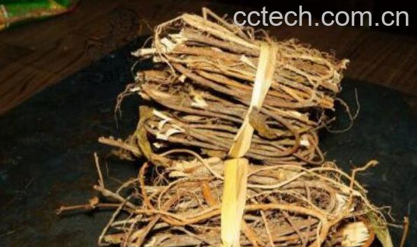 红杜仲的功效与作用-1