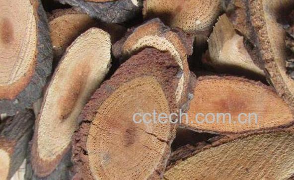 黑老虎根的功效与作用及常见用法-1