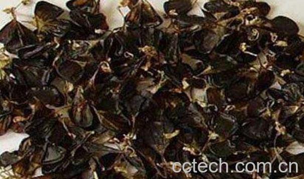 蛇胆的功效与作用-0