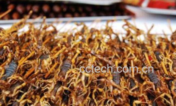 蝎子泡酒的功效与作用-1