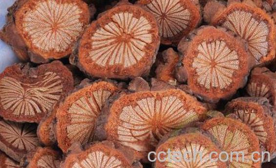 血藤的功效和作用-1