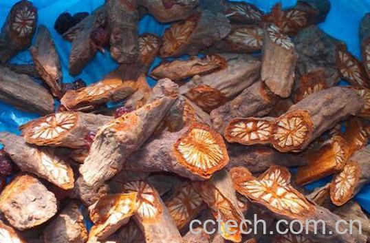 血藤的功效和作用-0