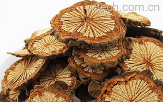 鸡血藤和大血藤的区别-1