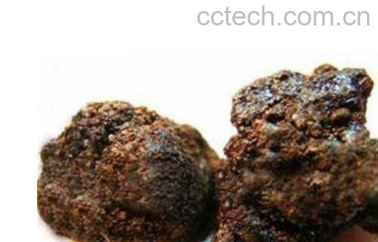 猴结的功效与作用及药用价值-0