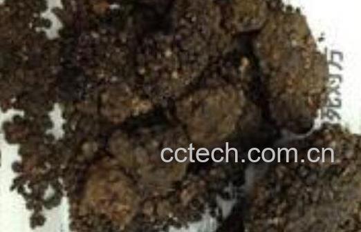 猴结泡酒的功效与作用 猴结泡酒有什么功效-1