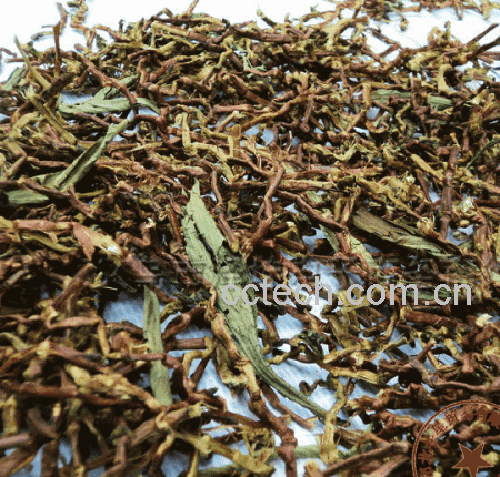 干长寿草怎么吃 长寿草晒干了怎么吃-1